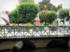 Crécy-la-Chapelle - Grand Morin Valley (vale do pintor de Grand Morin): ponte sobre o rio Grand Morin, flores e árvores