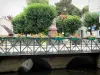 Crécy-la-Chapelle - Vallée du Grand Morin (vallée des peintres du Grand Morin) : pont enjambant la rivière Grand Morin, fleurs et arbres