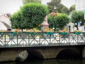 Crécy-la-Chapelle - Vallée du Grand Morin (vallée des peintres du Grand Morin) : pont enjambant la rivière Grand Morin, fleurs et arbres