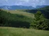 Crest road - Hills and mountains with trees and pastures (Ballons des Vosges Regional Nature Park)