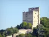 The Crest Tower - Crest: Medieval tower of Crest surrounded by greenery