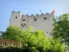 The Crest Tower - Crest: Medieval tower of Crest surrounded by greenery
