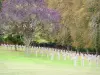 Crête des Éparges - Cemitério militar de Éparges - necrópole nacional de Trottoir