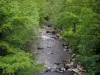 Guide of the Creuse - Limousin landscapes - River lined with trees