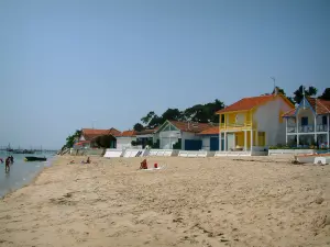 Cuenca de Arcachon - Casas y playa de arena de L' Herbe, en el municipio de Lege -Cap -Ferret