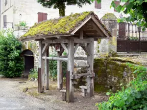 Curemonte - Bestiame schiacciare il cavallo