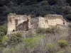 Da evolução do robô - Restos do castelo Evol cercado por vegetação; no Parque Natural Regional dos Pirinéus Catalães
