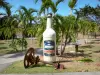 Damoiseau Rum distilleerderij - Bellevue Park gebied met palmbomen en gigantische fles rum ; in de gemeente Le Moule en het eiland Grande- Terre