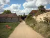 Dampierre castle - Walk in the park