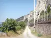 Défilé de Donzère - Chemin en contrebas des falaises calcaires