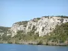 Défilé de Donzère - Falaises calcaires surplombant le Rhône
