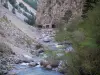 Défilé de la Souloise - Rivière Souloise, rochers, arbres et parois rocheuses ; dans le Dévoluy