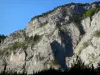 Défilé de la Souloise - Parois rocheuses (falaises) ; dans le Dévoluy