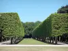 Departementaal landgoed van Sceaux - Bomen en gazons van het Parc de Sceaux