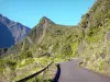 Departementale weg Route du Bélier - Ongerepte natuur langs de bosweg Mafate High; in het Nationaal Park van Reunion