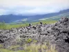 Departementale weg Route des Laves - Nationaal Park van La Réunion: vulkanische stroom en vegetatie Grote Brûlé