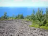 Departementale weg Route des Laves - Vulkanische stroom van Piton de la Fournaise en vegetatie met uitzicht op de Indische Oceaan