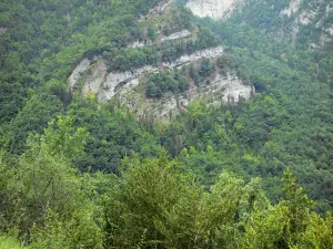 Desfiladeiro Flumen - Paredes rochosas de desfiladeiros e árvores; no Parque Natural Regional do Haut-Jura