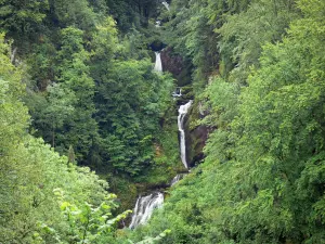 Desfiladeiro Flumen - Cachoeira e árvores; no Parque Natural Regional do Haut-Jura