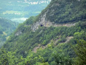 Desfiladeiro Flumen - Desfiladeiros de túnel, rostos de rochas e árvores; no Parque Natural Regional do Haut-Jura