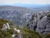 Desfiladeiro de Verdon - Grand Canyon do Verdon: falésias (rochas) e vegetação, colinas ao fundo; no Parque Natural Regional de Verdon