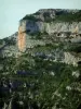 Desfiladeiros do Nesque - Árvores e penhasco íngreme (parede de rocha) do desfiladeiro selvagem