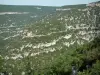 Desfiladeiros do Nesque - Canyon selvagem com parede de rocha e árvores