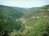 Desfiladeiros do Nesque - Colinas cobertas de florestas