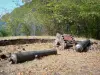 Deshaies - Pointe Batterie, ancienne batterie de canons