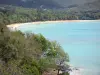 Deshaies - Vista do mar e da praia de Grande Anse em um cenário verde