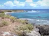 La Désirade - Küstenlandschaft der Insel Désirade mit Blick auf den atlantischen Ozean