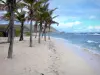 O Desirade - Praia da Enseada de Echelle e seus coqueiros, Oceano Atlântico e Grande Montanha ao fundo