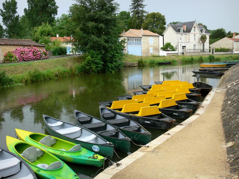 Guide des Deux-Sèvres - Coulon - Barques amarrées (embarcadère pour une promenade en barque dans la Venise verte), Sèvre niortaise et maisons ; dans le Marais poitevin (marais mouillé)