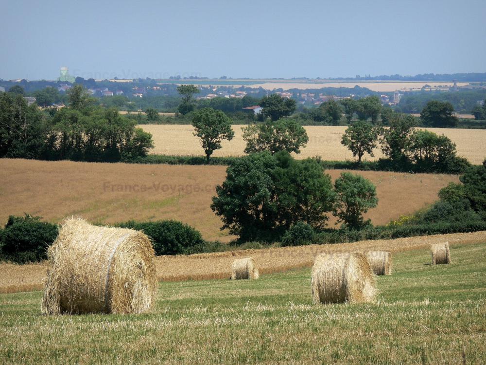 Guide des Deux-Sèvres - Paysages des Deux-Sèvres - Succession de champs, bottes de paille en premier plan