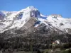 Devoluy Massif - 枞树，小木屋和白雪皑皑的山峰（雪）