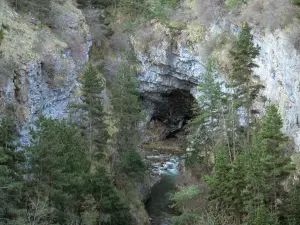 Dévoluy mountain range - Étroits gorge: river lined with trees and rock faces