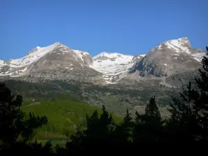 Dévoluy mountain range - Trees, forest and mountains dotted with snow