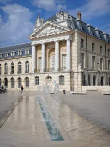 Dijon - Fassaden des Palastes der Herzöge und Stände von Burgund und Brunnen der Place de la Libération