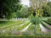 Dijon - De Botanische Tuin van het Arquebusepark