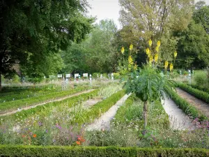 Dijon - Arquebuse Park Botanischer Garten