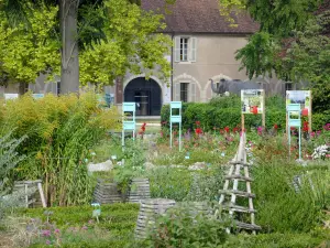 Dijon - Arquebuse Park Botanischer Garten und Dijon Natural History Museum