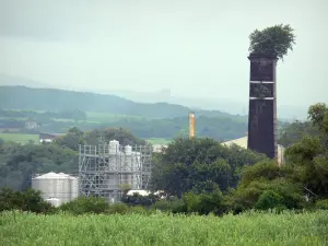 Distillerie Rivière du Mât - Ver las instalaciones de la destilería; en la localidad de Saint-Benoît