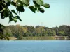 Divonne-les-Bains - Station thermale : lac (plan d'eau artificiel) et sa rive plantée d'arbres ; dans le Pays de Gex