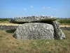 Dolmen de Bougon - Dolmen des Sept Chemins (monument mégalithique)