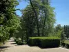Domaine départemental de Sceaux - Allée de promenade du parc de Sceaux