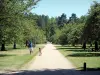 Domaine départemental de Sceaux - Allée de promenade entourée d'arbres