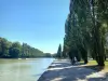 Domaine départemental de Sceaux - Promenade le long du grand canal