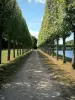 Domaine de Villarceaux - Chemin bordé d'arbres, le long du grand étang