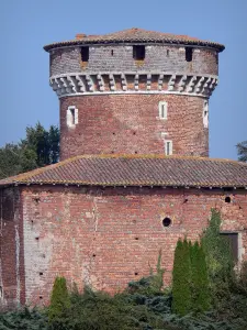 Dombes - Tour de Plantay (ladrillo mazmorra)