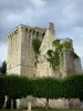 Donjon du Houssoy - Donjon, vestige de l'ancien château fort du Houssoy, à Crouy-sur-Ourcq